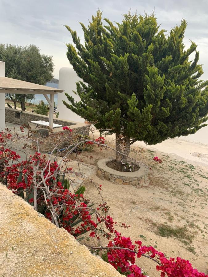 The Elaia House Mykonos Villa Орнос Екстериор снимка